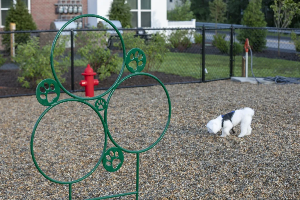 Fenced dog park with agility course